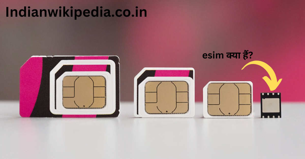 esim kya hai